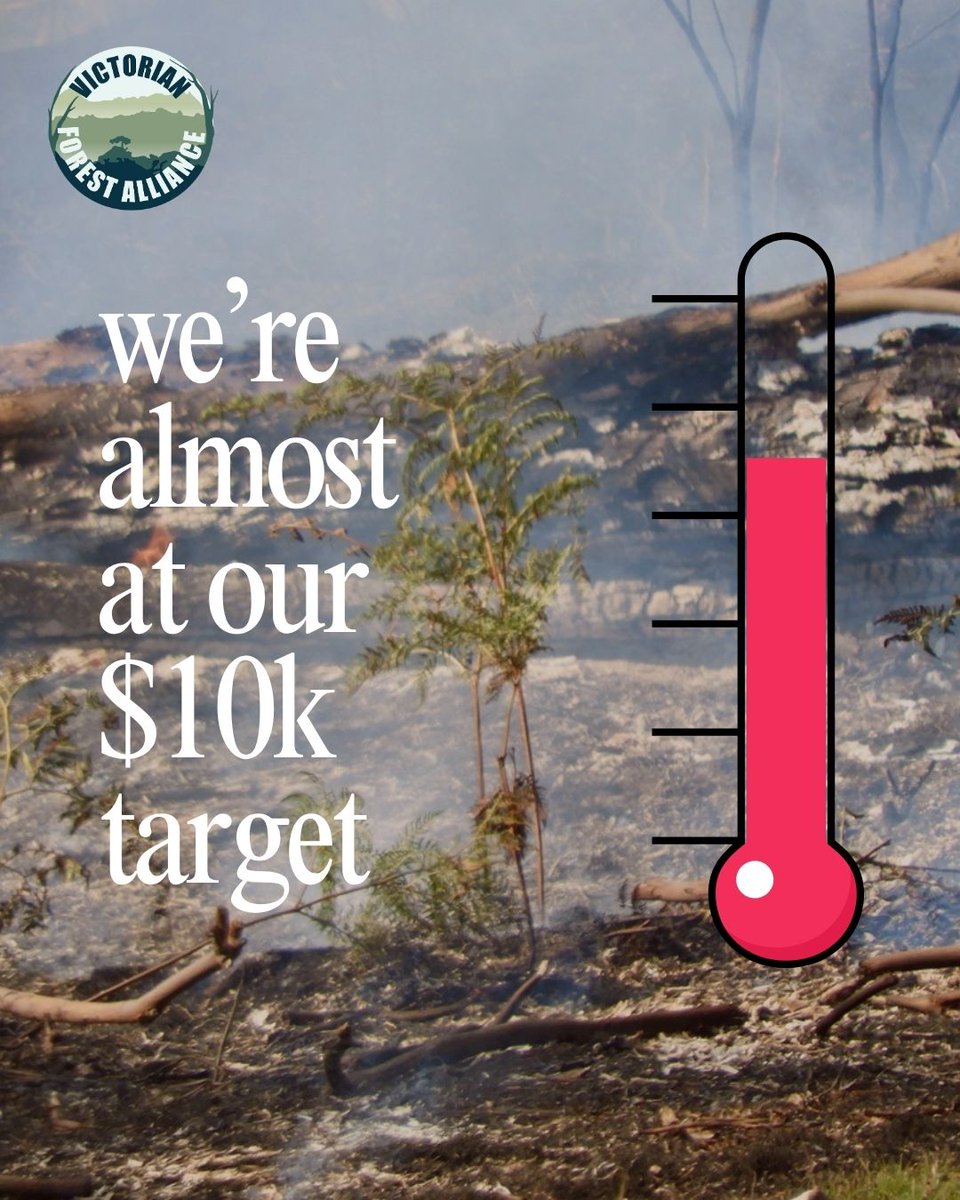 We urgently need to rethink how we protect our forests and communities from bushfires. 🔥

We are so close to our $10k fundraising target! If you haven't yet donated, please head over to our chuffed - all donations up to $1.5k are being doubled.

➡ chuffed.org/project/stop-p…