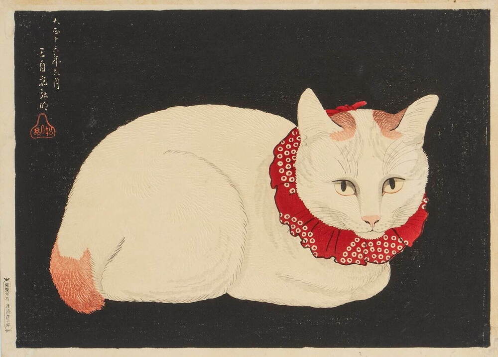 ねこづくし 81TrbKb8xBL._AC_UF350,