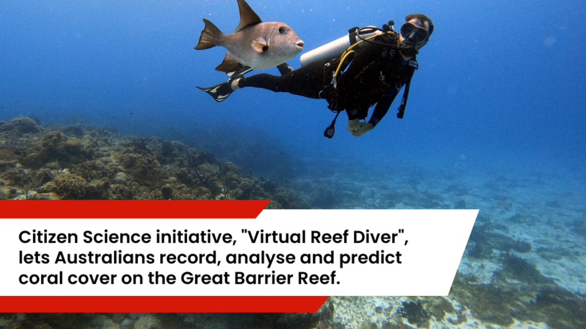 Become a citizen scientist for the Reef! 🤿 Virtual Reef Diver lets you team up with scientists to analyse and predict coral cover on the GBR—no swimming required. Help turn crowd-sourced data into powerful insights:  virtualreef.org.au/about/