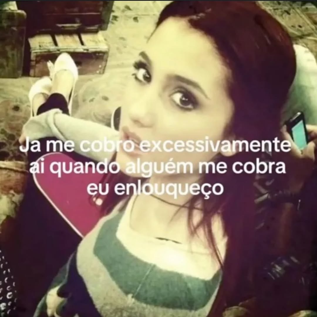perfil dedicado a gatinhos e peitos (@odeiootaco) on Twitter photo 