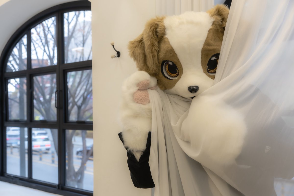 #FursuitEveryday 

📸 : <a href="/Kylier_K/">카일리어🔜퍼클</a>
