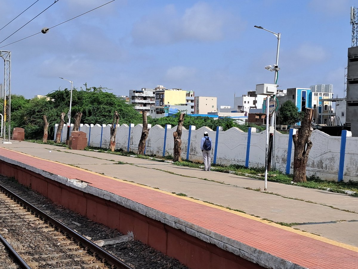krishna_avs's tweet image. today some of these trees don&apos;t even have a leaf 🙄.

Please don&apos;t give contract to cut trees branches without invigilation 🙏 as contractors are cutting trees unscientifically.

#SaveFullyGrownTrees

@NeelimaEaty @vata_foundation @sselvan @manreddy @AnooradhaR @tsCTzen @BplplH