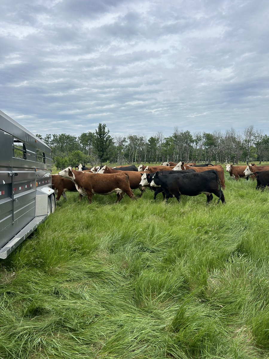 That moment when the babies arrive!