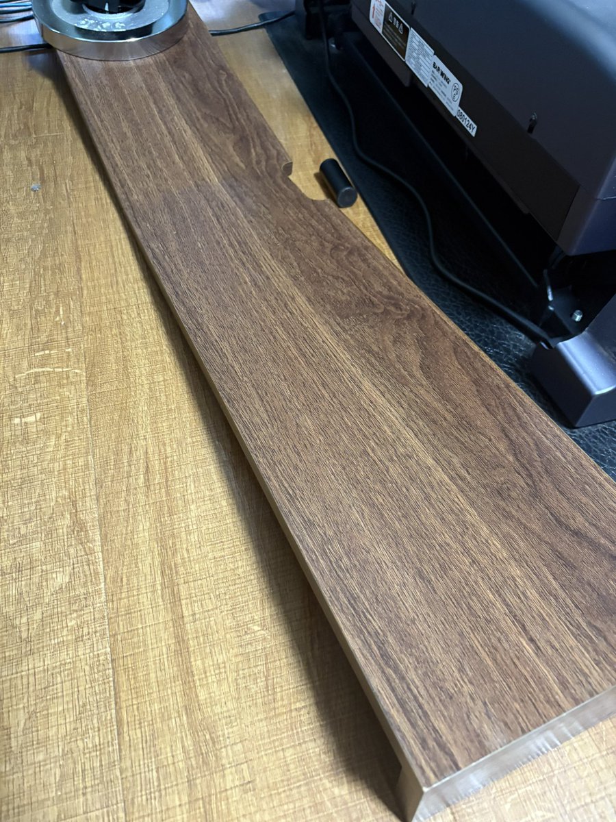 やる気を出して張り切って掃除してて足を引っ掛けて棚を踏んで潰してしまったので今日はもうだめだ