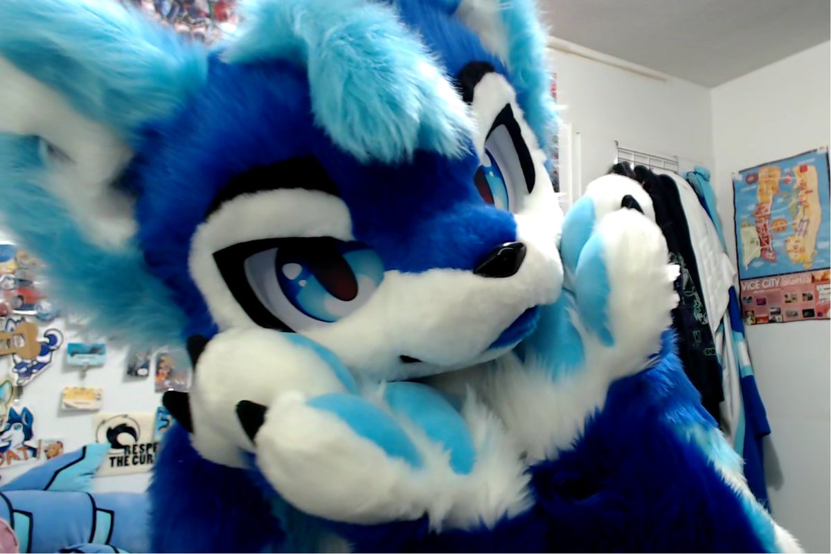 DatBlueHusky 🔜 @FWA @AC (@datbluehusky) on Twitter photo Hehe full suit photos coming soon!! Still need to brush and work on some stuff to have him fully ready.
✂️ <a href="/Amuwu0306/">Amuuwu阿目织物</a> Hehe full suit photos coming soon!! Still need to brush and work on some stuff to have him fully ready.
✂️ <a href="/Amuwu0306/">Amuuwu阿目织物</a>