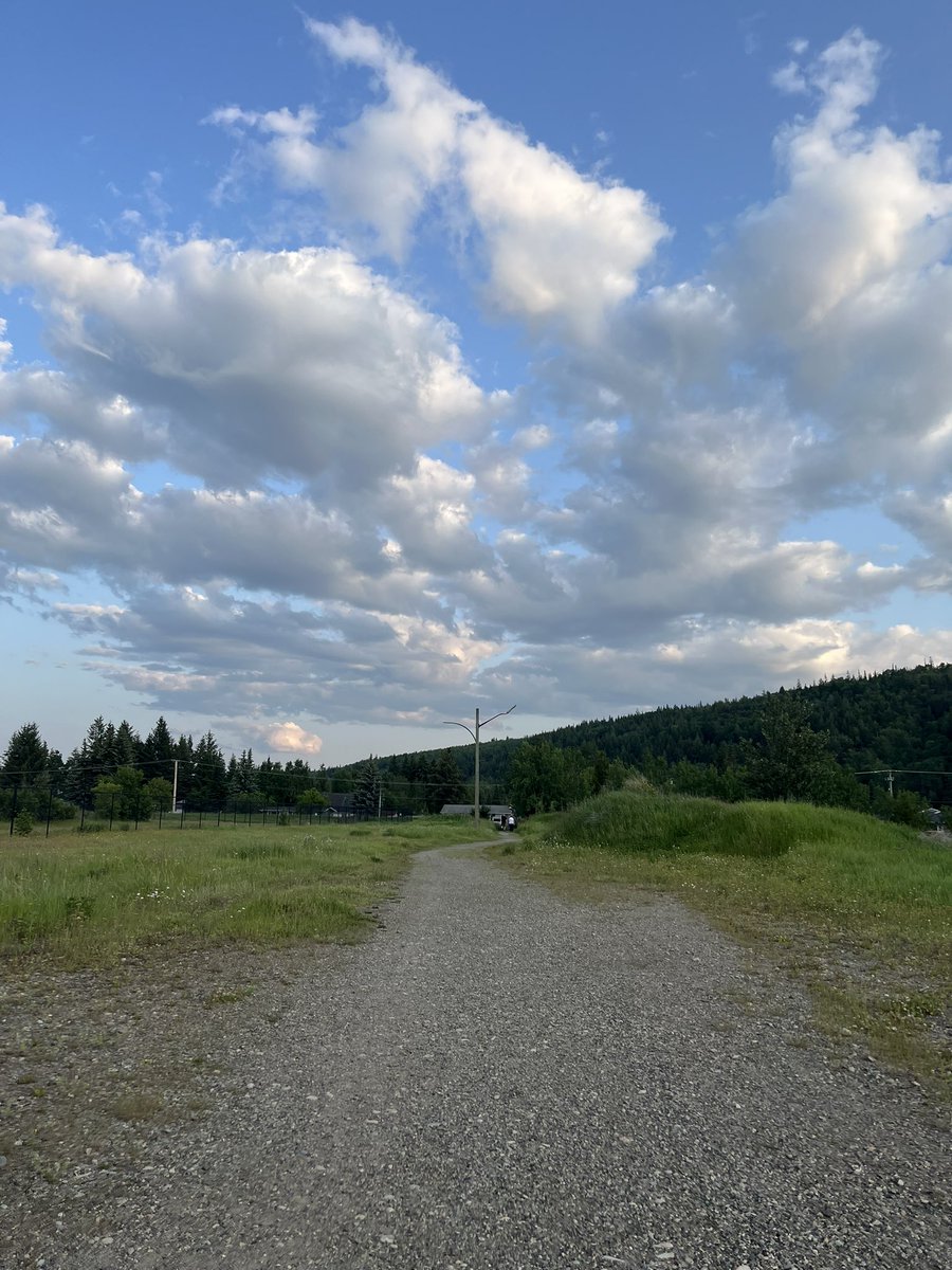 Today’s #patiopic. Yay. I went out for a walk tonight. A beautiful day. #getoutside