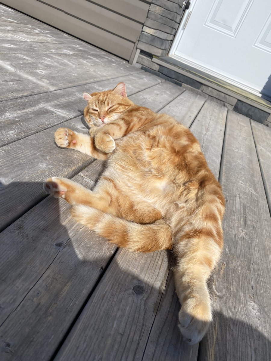 Matthew S. Scott tweet media