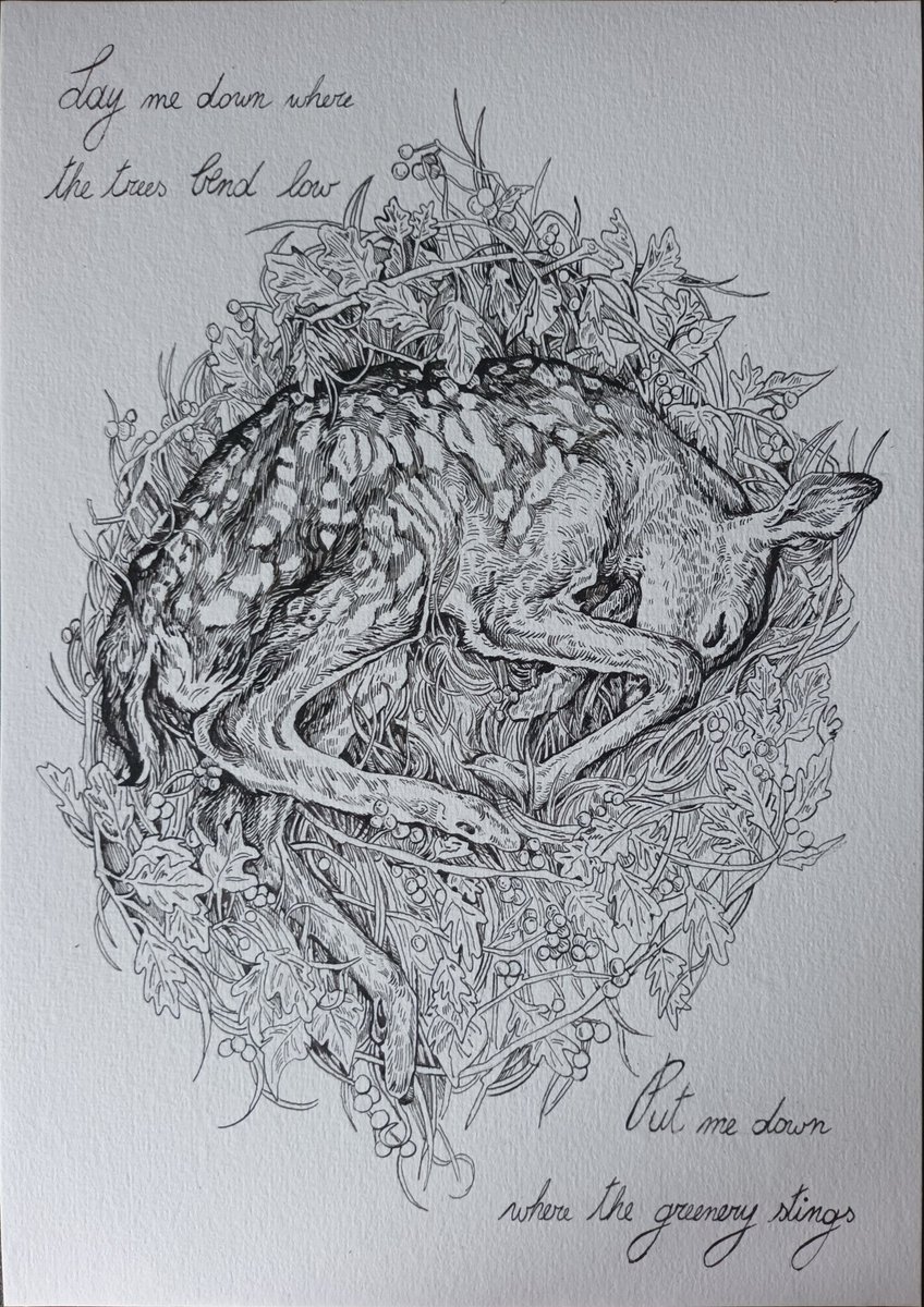 deerbraincel's tweet image. drew my pfp :) lycrics from nettles by ethel cain