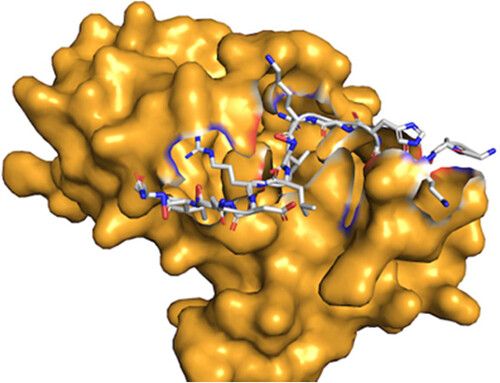 kiharalab's tweet image. New paper online : Learning with Privileged Knowledge Distillation for Improved Peptide–Protein Docking, ACS Omega. The method, Distpepfold, uses student-teacher model to improve peptide docking over AF2.
pubs.acs.org/doi/10.1021/ac…
