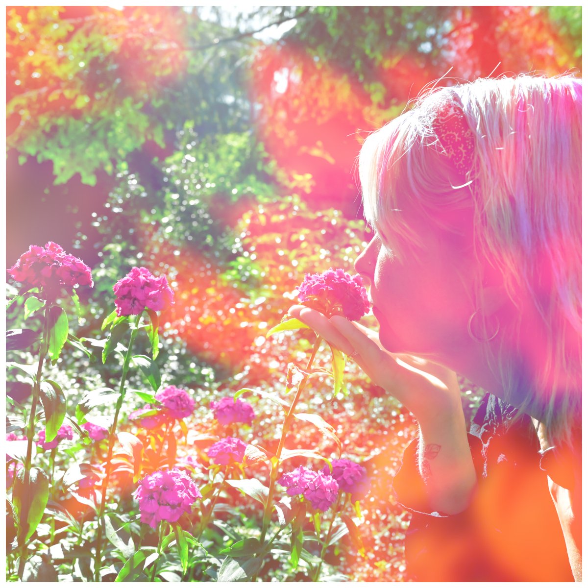 Nax (@nax_musica) on Twitter photo We are very happy of introducing you our New Single: 
"Pensando solo en vos", a fresh dreamy song. 
naxmusic.bandcamp.com/album/pensando…
We hope you will love it! ❤️
#dreampop #newsong #newsingle We are very happy of introducing you our New Single: 
"Pensando solo en vos", a fresh dreamy song. 
naxmusic.bandcamp.com/album/pensando…
We hope you will love it! ❤️
#dreampop #newsong #newsingle