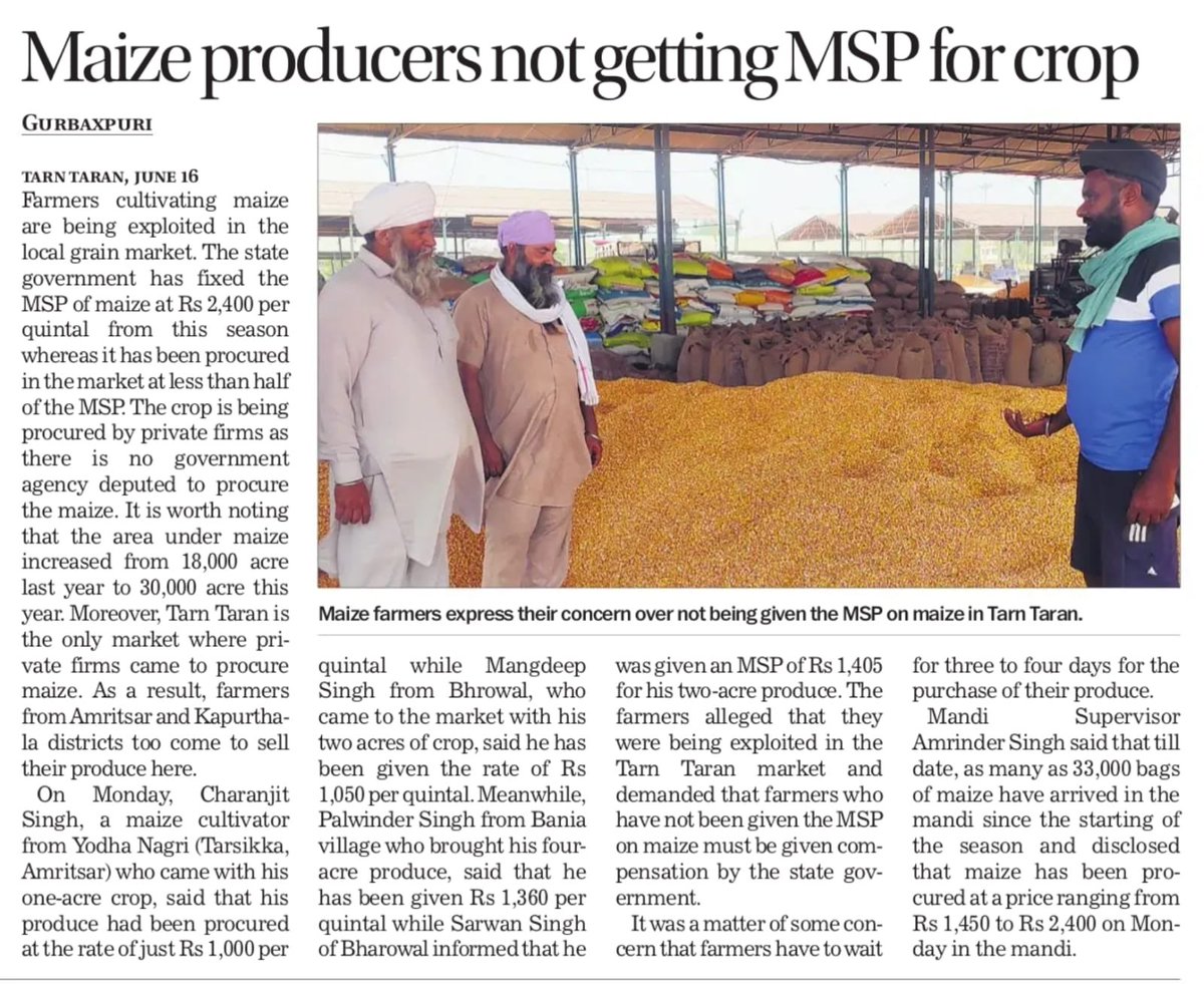 Sukhpal Singh Khaira (@sukhpalkhaira) on Twitter photo Maize crop selling at distress rates much below the Rs 2400 per quintal MSP neither is the <a href="/BhagwantMann/">Bhagwant Mann</a> govt doing nor the so called Corporates who promised to procure the crop at full Msp seen anywhere !
This is the difference between words and action !
<a href="/INCIndia/">Congress</a> <a href="/INCPunjab/">Punjab Congress</a> Maize crop selling at distress rates much below the Rs 2400 per quintal MSP neither is the <a href="/BhagwantMann/">Bhagwant Mann</a> govt doing nor the so called Corporates who promised to procure the crop at full Msp seen anywhere !
This is the difference between words and action !
<a href="/INCIndia/">Congress</a> <a href="/INCPunjab/">Punjab Congress</a>