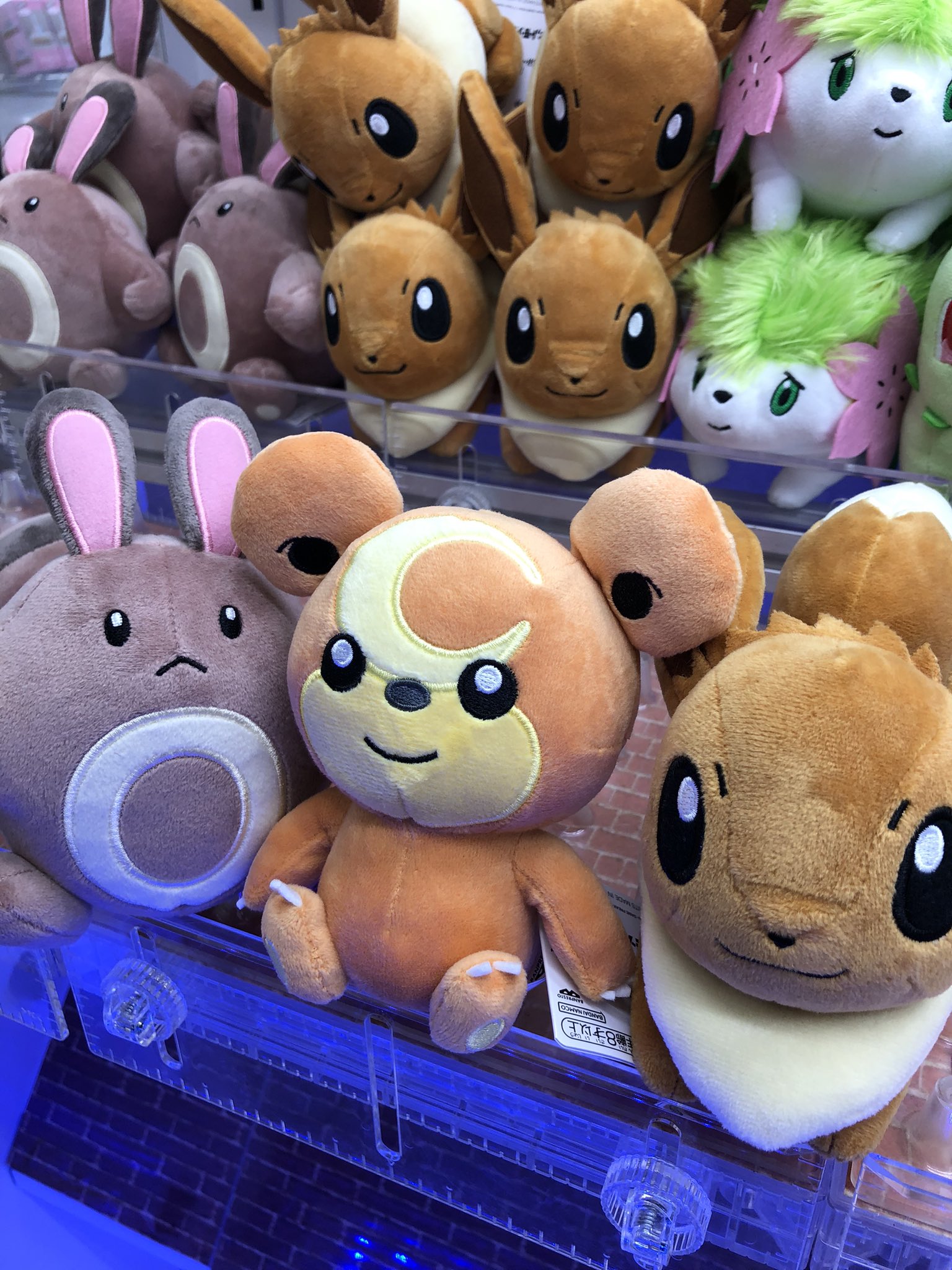 ポケットモンスター　ぬいぐるみ　イーブイ　オタチ　ヒメグマまとめ ポケットモンスター ぬいぐるみ～イーブイ・オタチ・ヒメグマ