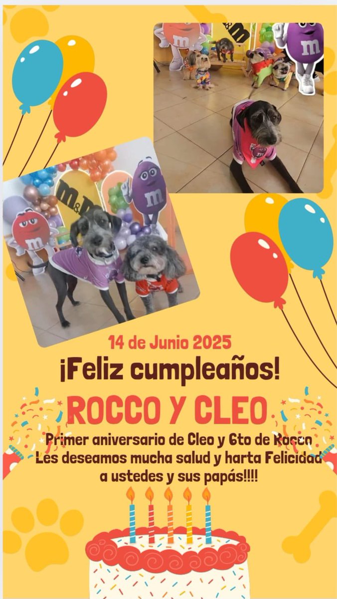 ¡Que felicidad ver a los adoptados tan queridos y festejados! 🐶 🥳 

¡Feliz PerriCumpleaños Cleo y Rocco les deseamos todos en CEI!!! 🎉 

Gracias Ely!!!!! 🙏

#CasosDeExito #Adopciones