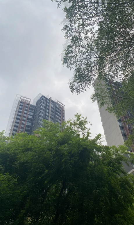 どんよりした😥