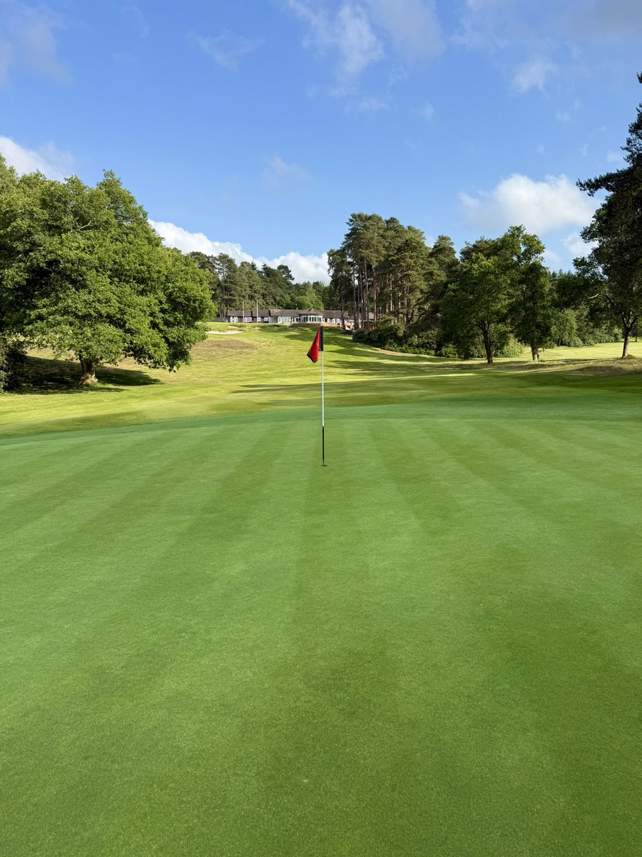 Golf. I like it... a lot ⛳️