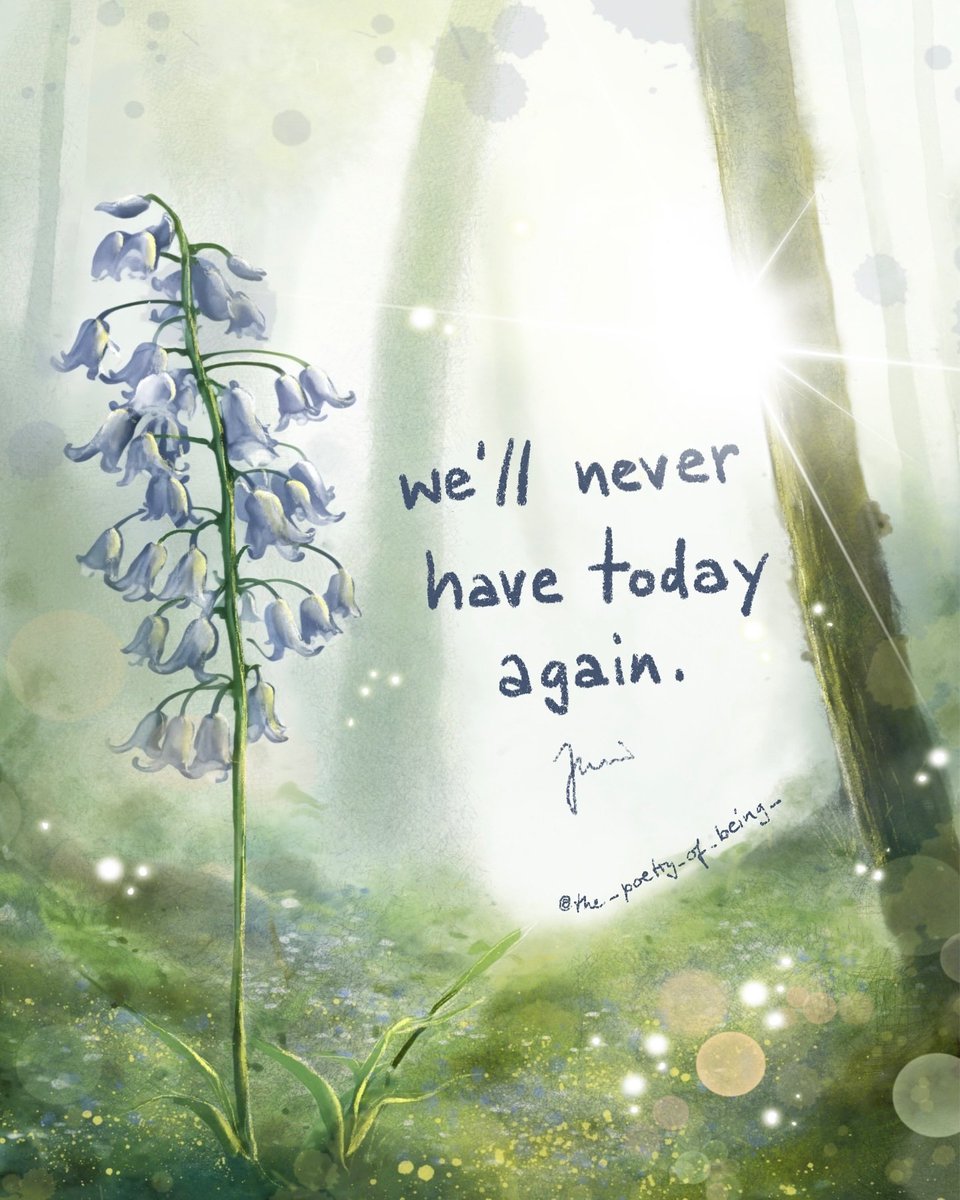 We will never have today again.