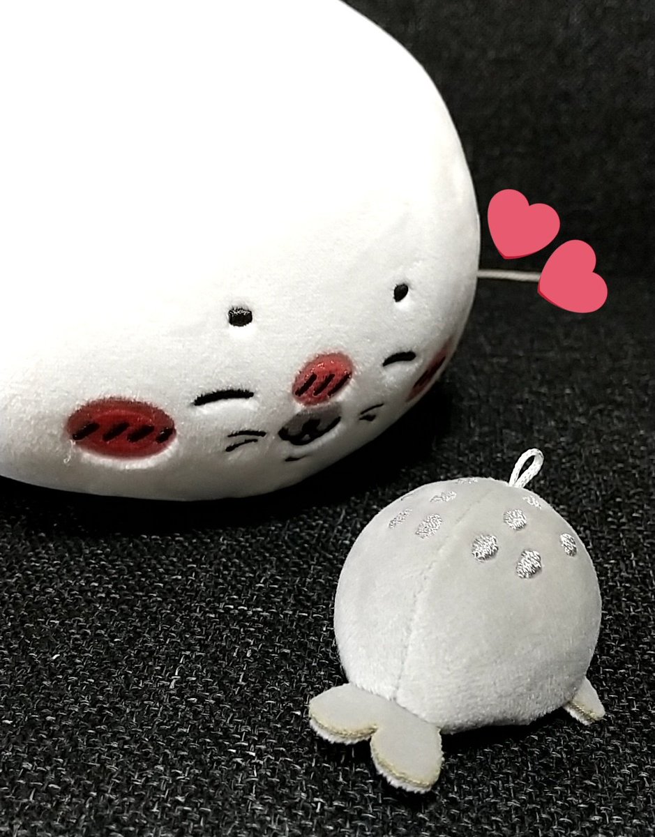 我が家のアザラシちゃん✨
ごま入りに憧れていて、最近お迎えした小さなアザラシのことを「ごま師匠」と呼んでいます(*´∀｀*)💕