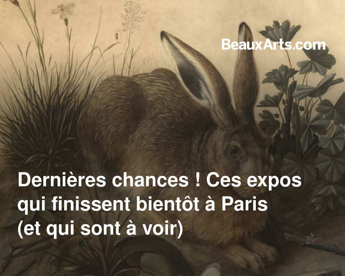 Vous avez encore quelques jours pour les unes, quelques semaines pour les autres. Dépêchez-vous, ces expositions valent le détour !

➡️ l.beauxarts.com/oHS