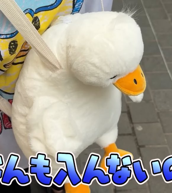 ちぐさくんのお財布になったあひるさん頭の毛ぱやぱやしてて可愛い
