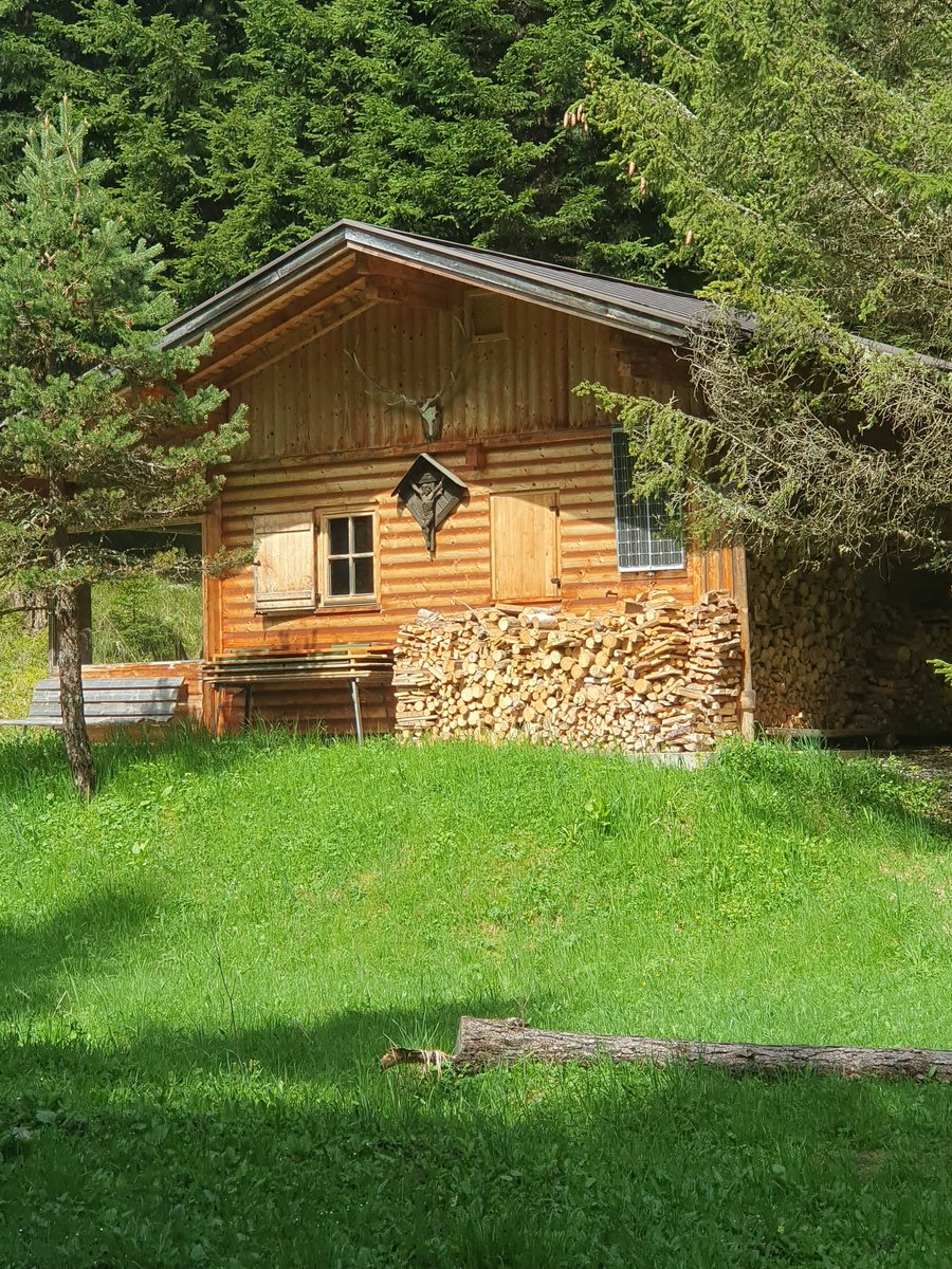 ToadAlteKroete's tweet photo. Je älter ich werde, umso mehr verstehe ich die Einsiedler, die allein im Wald leben und nur mit Eichhörnchen reden.... https://t.co/1qKHEUoLDw