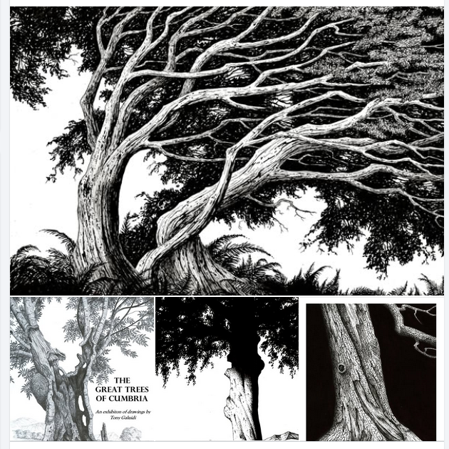 Most of the works at my exhibition at Brantwood, Coniston are pencil drawings but I also have 6 ink drawings on display. All proceeds to Knoxwood Animal Rescue

#thicktrunktuesday 

tonygaluidiart.com