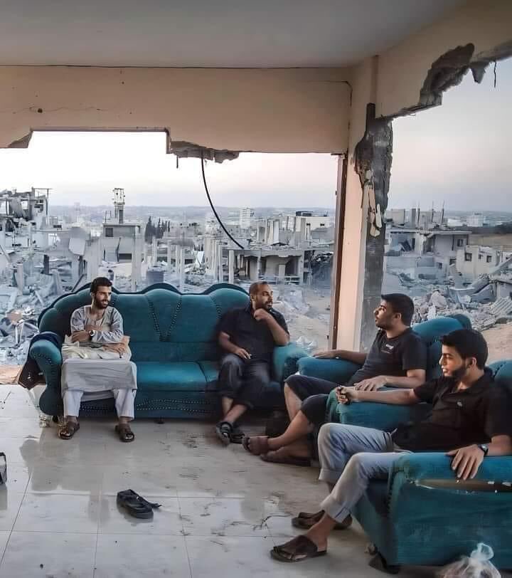 🇶🇦 شامان tweet media