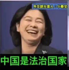 罗翔——破幕推墙 tweet media