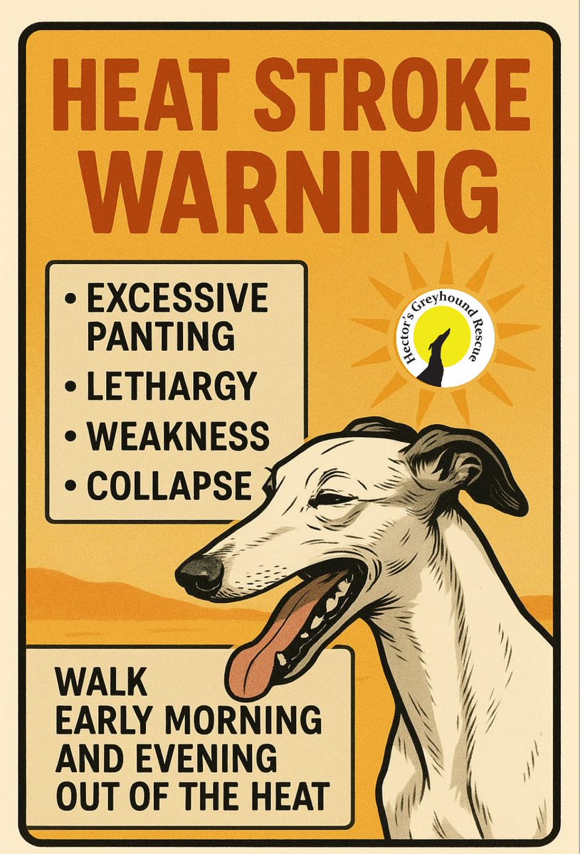 🚨 Heat Stroke Warning For Greyhounds! 🚨

Greyhounds are extra sensitive to heat, due to their thin coats and low body fat 🐾☀️. 

In warm weather, avoid walks during peak heat 🌡️ (especially over 75°F/24°C), always provide fresh water💧and never leave them in a parked car 🚗❌