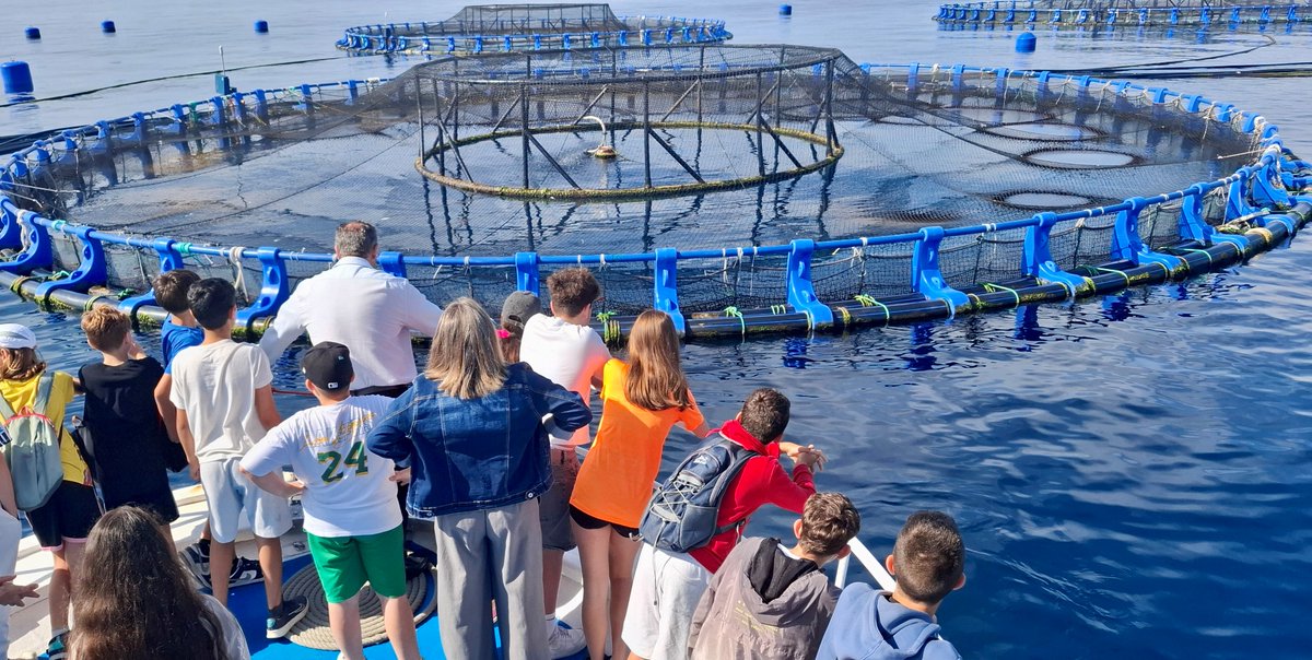 Más de un millar de escolares alicantinos conocen de cerca la actividad acuícola

agronewscomunitatvalenciana.com/mas-de-un-mill…