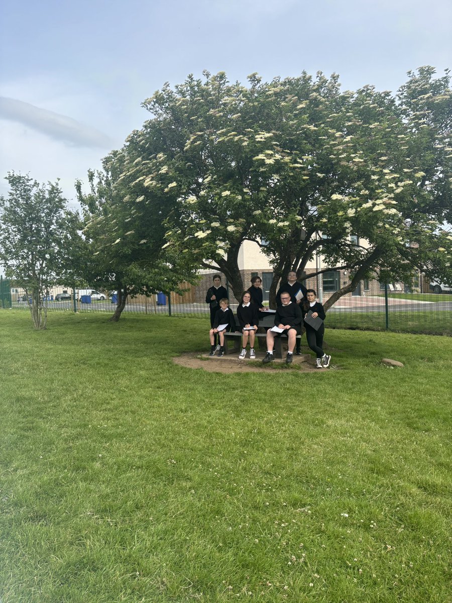 HollieJHarley's tweet image. 🎉 Huge shoutout to our amazing young people @AnnickPS who completed a Transition Scavenger Hunt! 🕵️‍♂️✨
They smashed it with teamwork, confidence &amp;amp; curiosity. 💪🏽📚
The journey from primary to secondary just got a lot more exciting!
#PrimaryToAcademy #TransitionSuccess