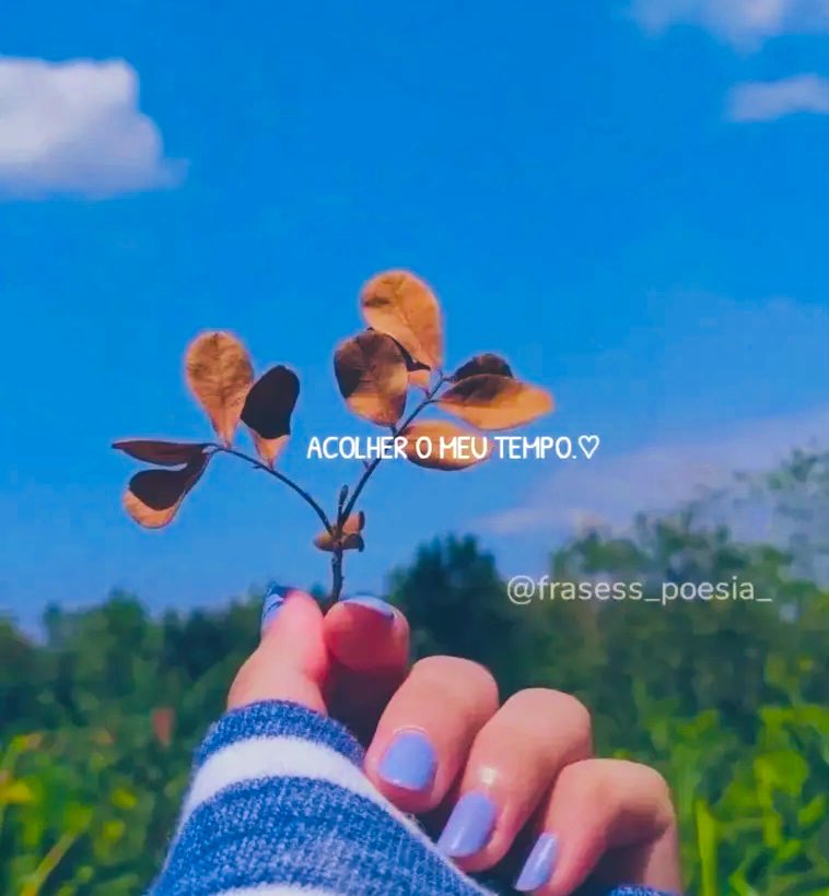 “Tem coisas que a gente só aprende no intervalo… entre a espera e a resposta, entre a dor e a cura, entre quem a gente era  e quem Deus está ensinando a gente a se tornar. É nos detalhes que Ele nos molda…”

Bommm diaaaa  💓💓💓