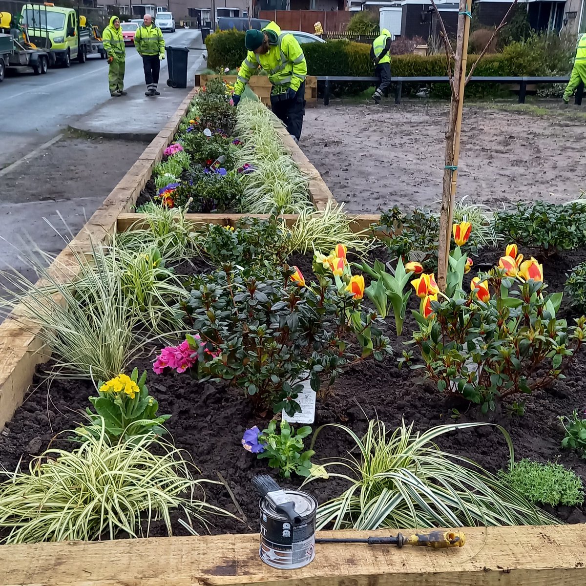 As summer begins, nature flourishes — and so do the spaces we care for 🌿 At Glendale, we support biodiversity through pollinator planting, tree care, and sustainable landscaping 🌼🌳🌍 Our work in parks and estates helps wildlife thrive – let's grow greener cities together.