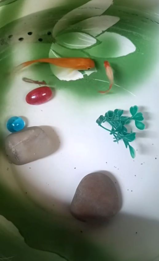 欢迎新成员加入