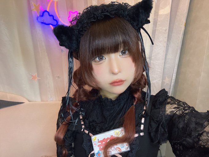 キミとねこ