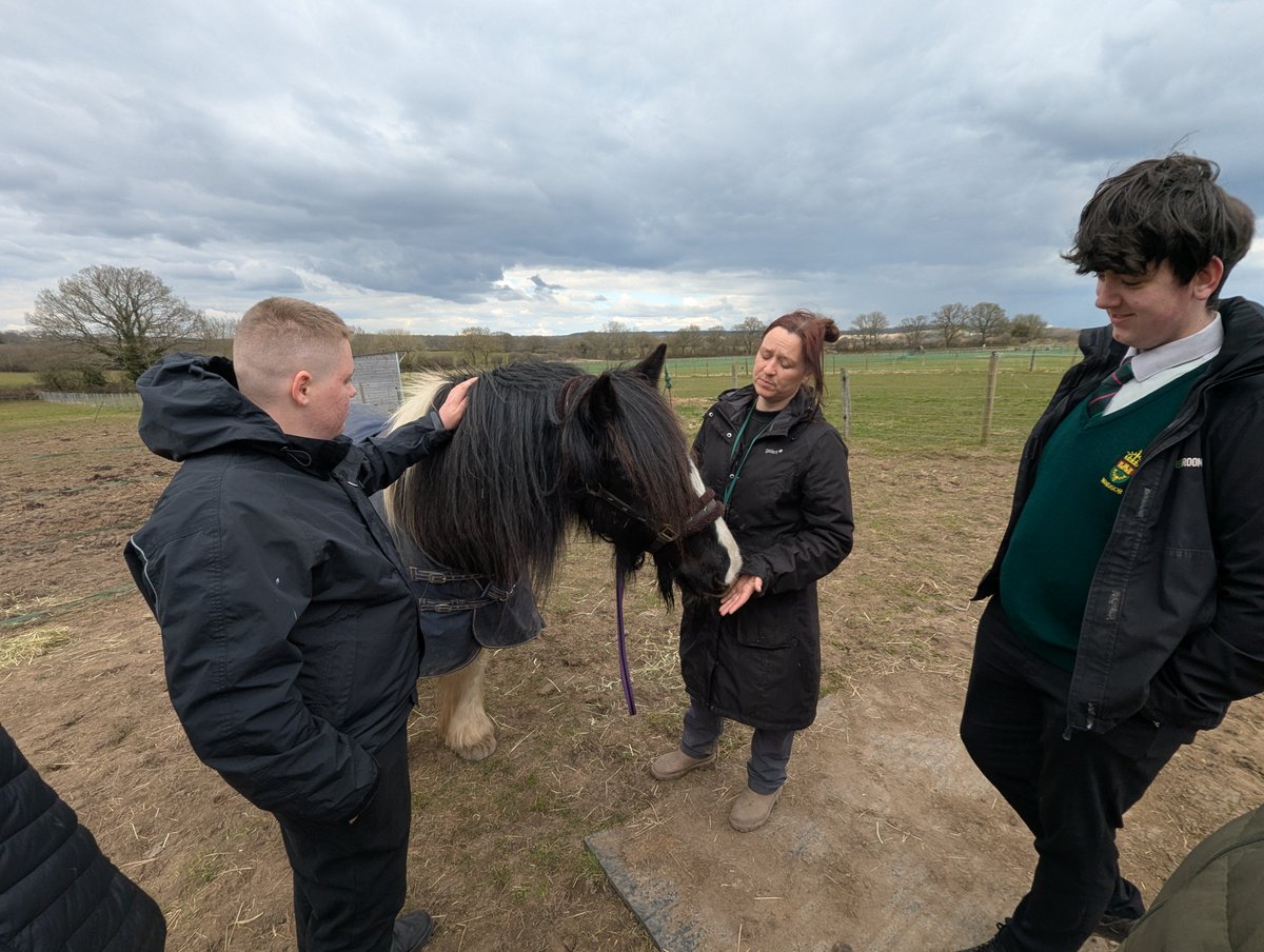 The Windsor Boys' School tweet media