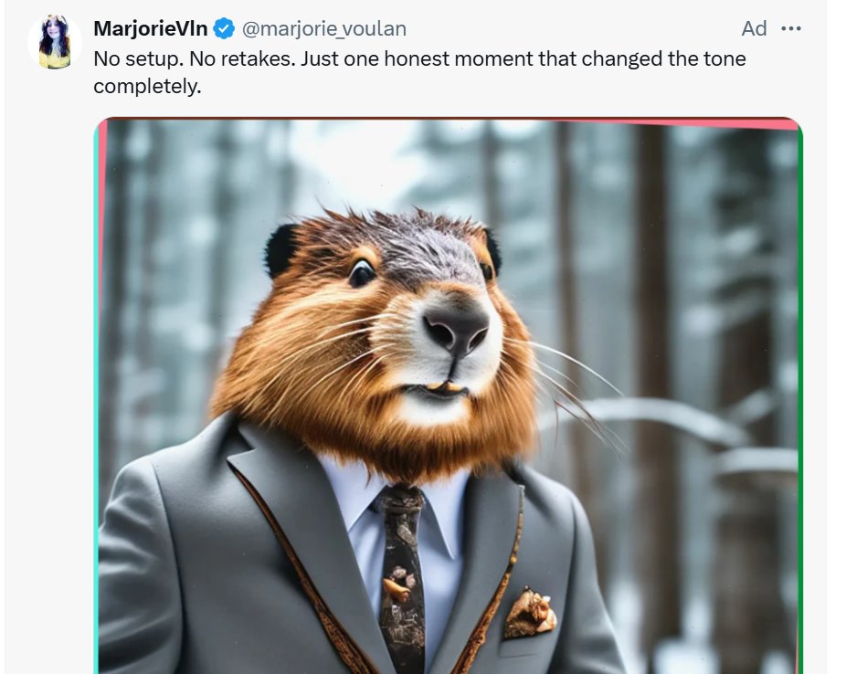 is it just me or us the spam on X getting weirder?