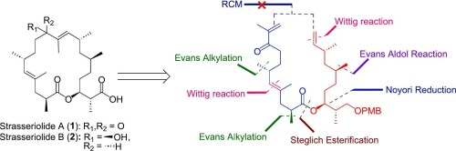 Olefin_Metathesis (@olef_metathesis) on Twitter photo When you're missing the appropriate catalyst for the final step of a total synthesis: Studies toward the synthesis of strasseriolide A & B via a ring-closing metathesis (#RCM) (<a href="/sciencedirect/">Elsevier | ScienceDirect</a>) sciencedirect.com/science/articl… When you're missing the appropriate catalyst for the final step of a total synthesis: Studies toward the synthesis of strasseriolide A & B via a ring-closing metathesis (#RCM) (<a href="/sciencedirect/">Elsevier | ScienceDirect</a>) sciencedirect.com/science/articl…