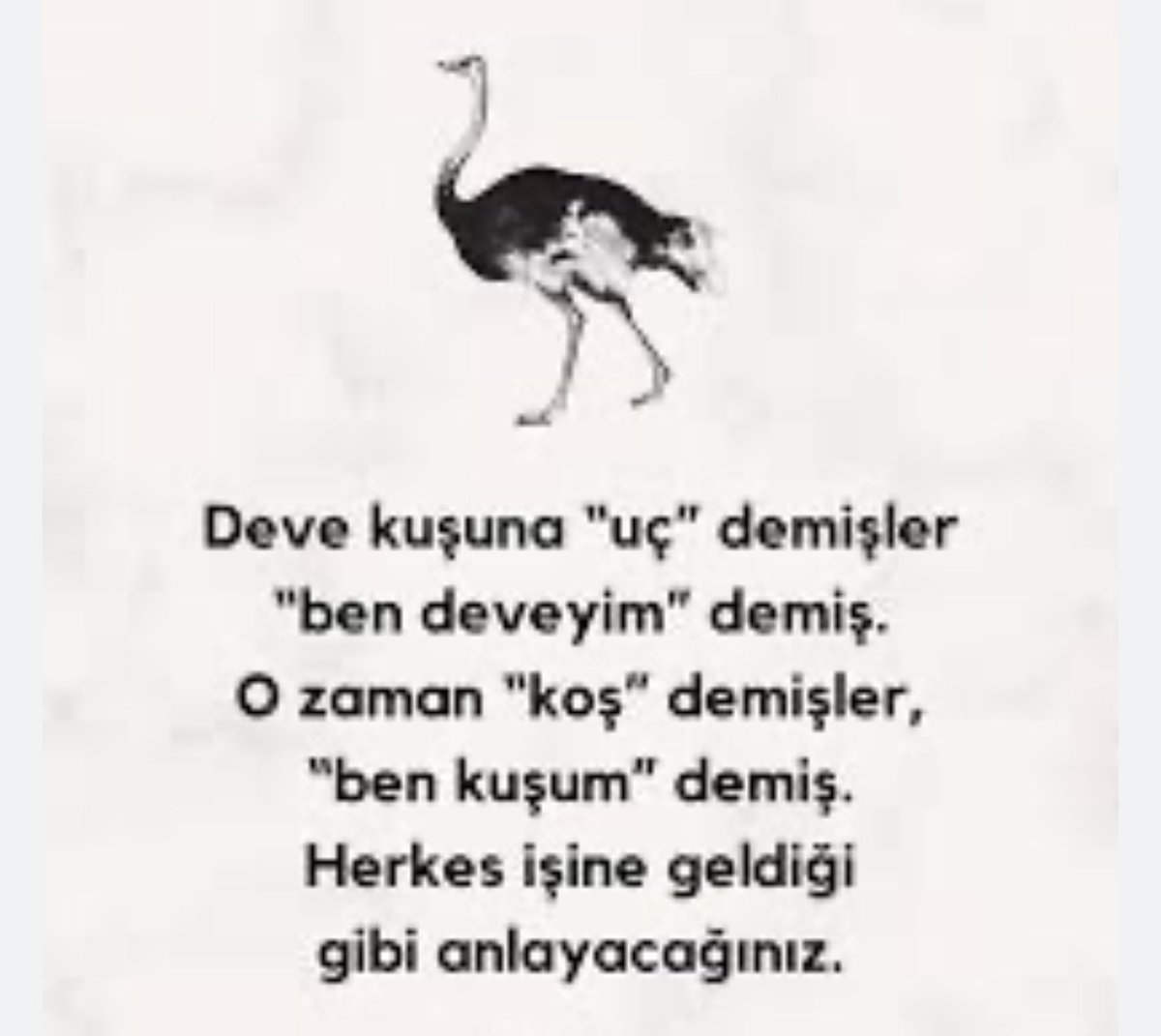 huseynoov's tweet photo. https://t.co/ysM85YiZJC