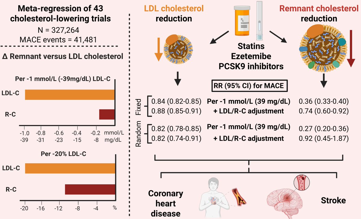 Borge G Nordestgaard (@bnordestgaard) on Twitter photo Remnant cholesterol lowering is associated with part of the cardiovascular risk reduction in statin, ezetimibe, and PCSK9 inhibitor trials. A hitherto largely unnoticed clinically import fact:
academic.oup.com/eurjpc/advance…
AT Nordestgaard & BG Nordestgaard in Eur J Prevent Cardiol Remnant cholesterol lowering is associated with part of the cardiovascular risk reduction in statin, ezetimibe, and PCSK9 inhibitor trials. A hitherto largely unnoticed clinically import fact:
academic.oup.com/eurjpc/advance…
AT Nordestgaard & BG Nordestgaard in Eur J Prevent Cardiol