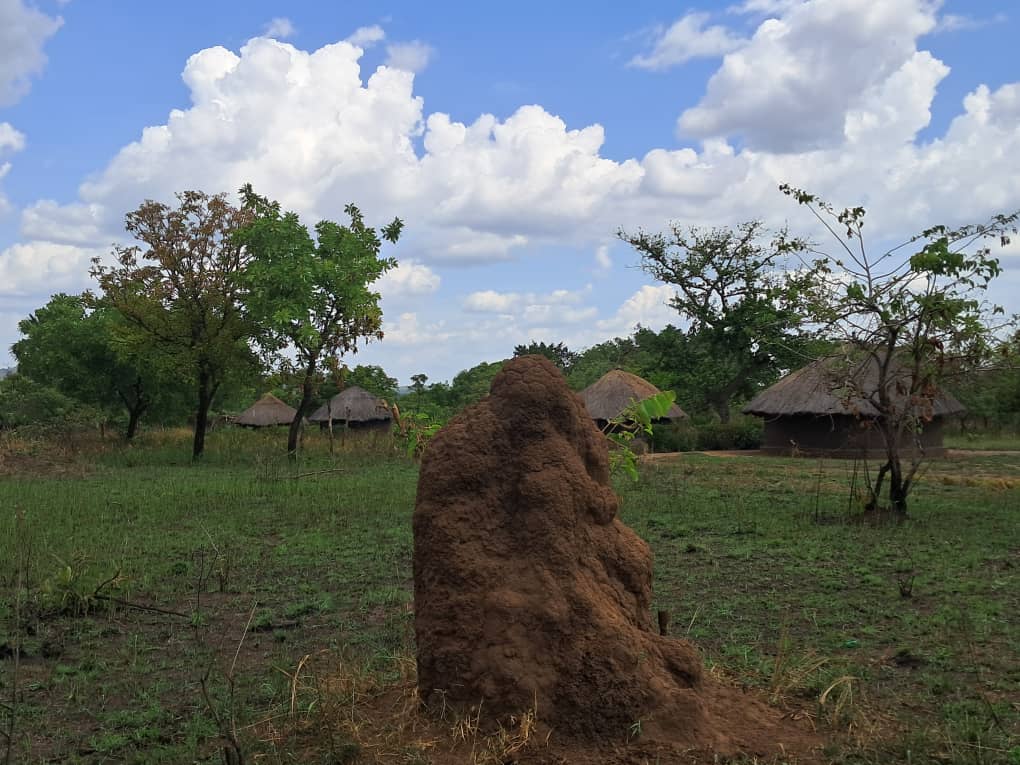 “I thought of ending my life before joining this group…”

In places marked by pain, CBS creates spaces where people find strength, safety, and each other again.
This story from Gulu, Uganda, reminds us that healing happens together.
Full story: lnkd.in/d-7uFpdT
#CBS