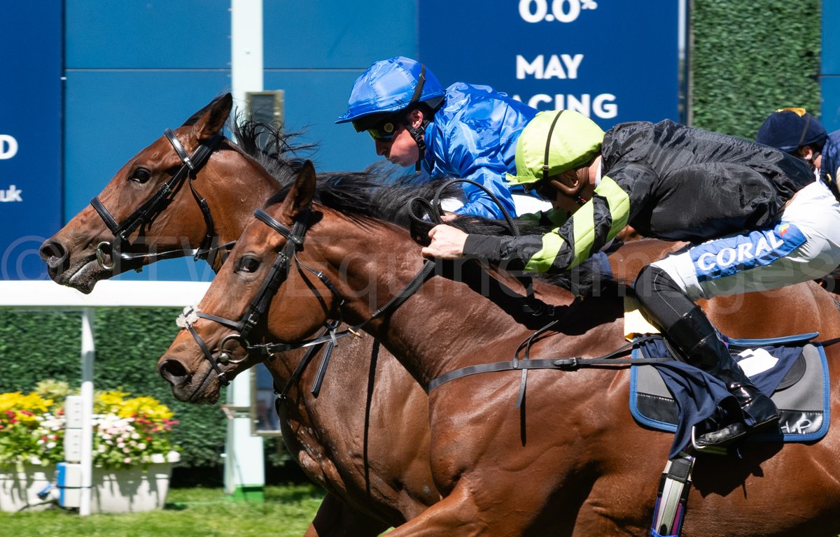 JTW Equine Images (@jtwequineimag) on Twitter photo Looking forward to seeing how MILITARY CODE gets on later today, in the Coventry Stakes, the 3:05 <a href="/Ascot/">Ascot Racecourse</a>.
Unbeaten in two starts, his Ascot win last month is strong form, given how the 2nd and 3rd both won NTO. #royalascot2025 Looking forward to seeing how MILITARY CODE gets on later today, in the Coventry Stakes, the 3:05 <a href="/Ascot/">Ascot Racecourse</a>.
Unbeaten in two starts, his Ascot win last month is strong form, given how the 2nd and 3rd both won NTO. #royalascot2025