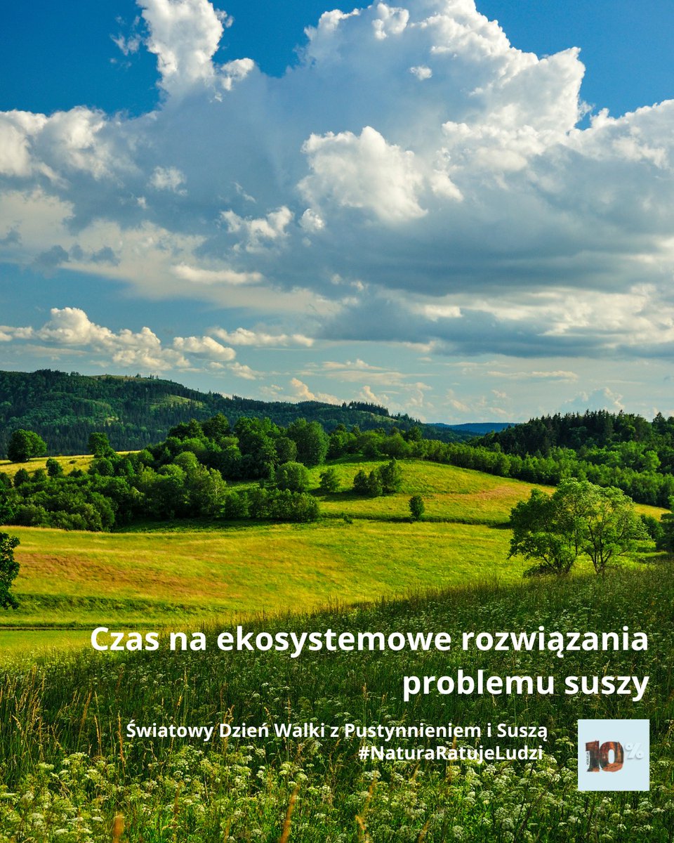 🌍 #NatureRestorationLaw rok później i Światowy Dzień Przeciwdziałania Suszy – czas na praktykę i odtwarzanie ekosystemów!

🌳🌱 Mokradła, łąki, lasy magazynują wodę w glebie

🏞️ Meandrujące rzeki spowalniają odpływ

To inwestycja w naszą wspólną przyszłość.
#NaturaRatujeLudzi