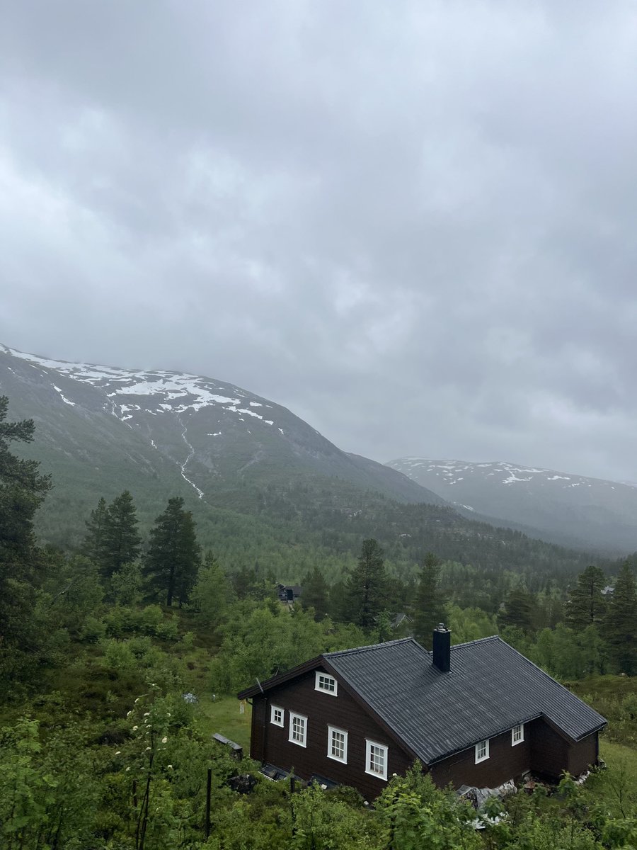 Let’s enjoy the day 🌲
#Norway