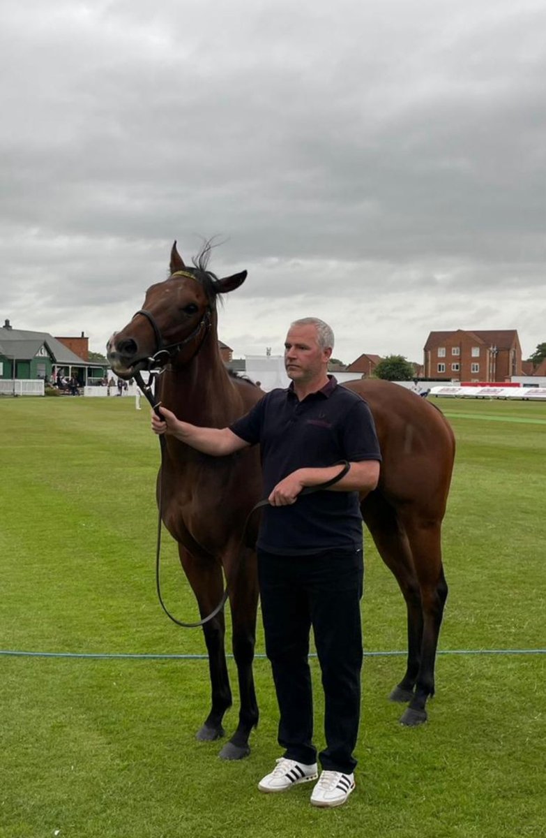 Today we run Showtime Mahomes <a href="/ThirskRaces/">Thirsk Racecourse</a> for <a href="/granttuerracing/">Grant Tuer Racing</a> with <a href="/olistammers/">Oli Stammers</a> taking the ride. We’re hopeful he can build on his seasonal debut and get back on the winning trail