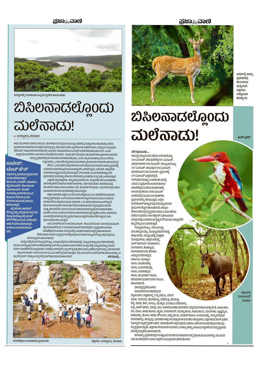 SHIVA ASHTAGI (@shiva_ashtagii) on Twitter photo A green land in a sunny town!
Chandrampalli Reservoir, Ettipota and Manikapur Falls, Prehistoric Gottamagotta forest area of Chincholi Taluk of #Kalaburagi District are literally the Mountainous of this region.
#Karnataka #Forest #tourism
<a href="/prajavani/">Prajavani</a> <a href="/KannadaNaduu/">ಕರ್ನಾಟಕ ಇತಿಹಾಸ</a> <a href="/aranya_kfd/">Karnataka Forest Department</a> A green land in a sunny town!
Chandrampalli Reservoir, Ettipota and Manikapur Falls, Prehistoric Gottamagotta forest area of Chincholi Taluk of #Kalaburagi District are literally the Mountainous of this region.
#Karnataka #Forest #tourism
<a href="/prajavani/">Prajavani</a> <a href="/KannadaNaduu/">ಕರ್ನಾಟಕ ಇತಿಹಾಸ</a> <a href="/aranya_kfd/">Karnataka Forest Department</a>