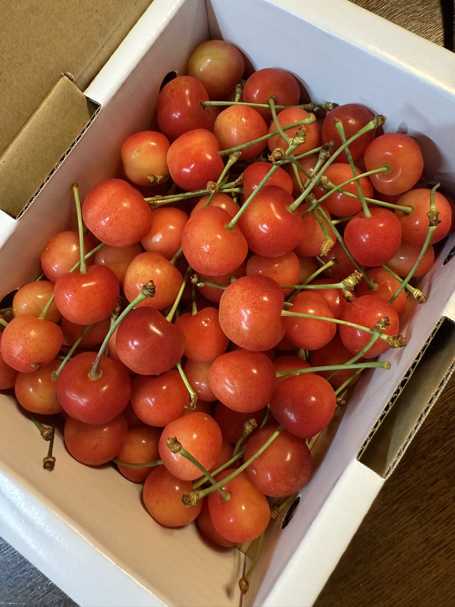 还是比较喜欢吃这种日本山形产的“佐藤锦”

美国那种大樱桃也不是不能吃，但能买到佐藤锦就不吃那玩意儿