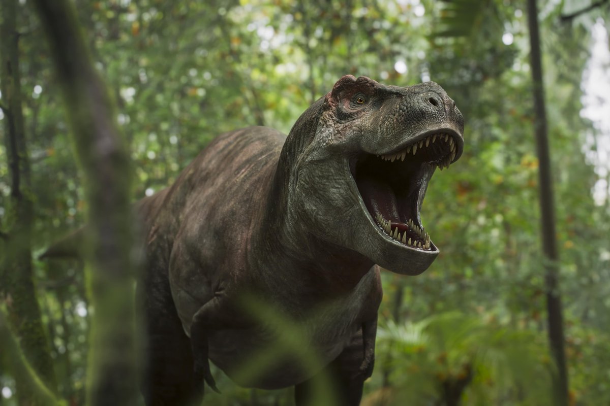 UKScreenAlln's tweet image. .@bbcstudios’ latest six-part series "Walking with Dinosaurs" was created in close collaboration with @lola_post, who crafted its #VisualEffects and animation, delivering 791 shots.
Read more here: ukscreenalliance.co.uk/news/from-foss…