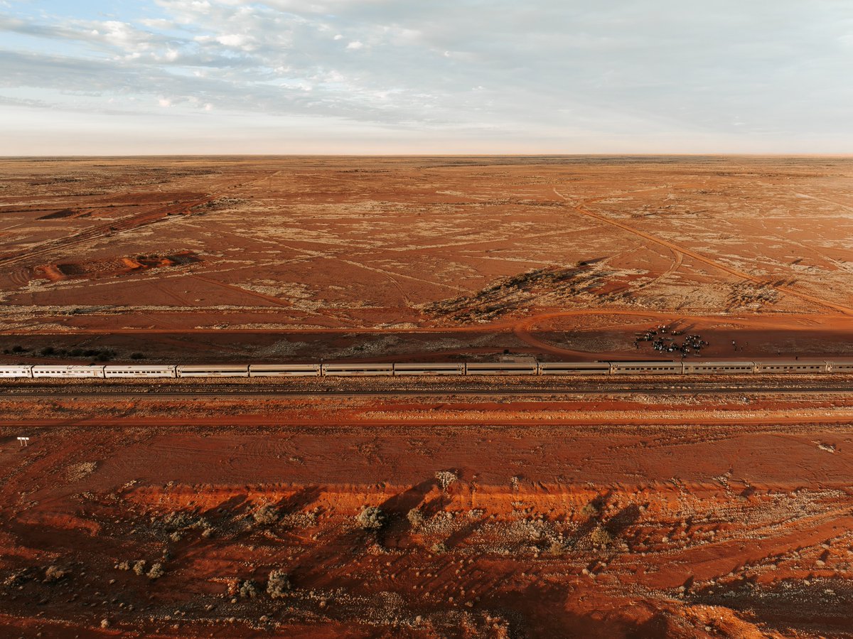 christopher. tweet media