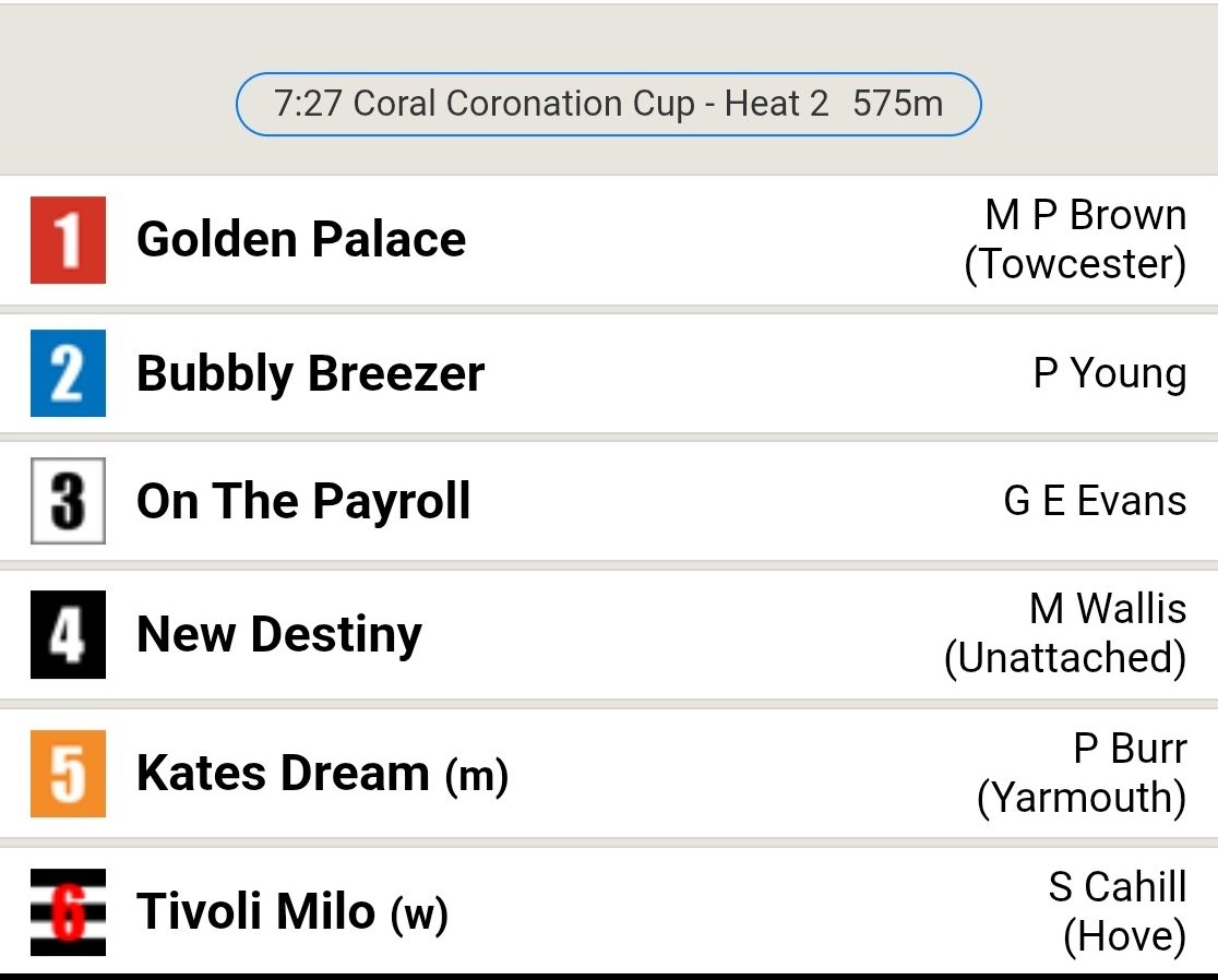 CahillKennels's tweet image. We have 3 runners in the Coral Coronation Cup which starts @RomfordDogs on Friday #topteam