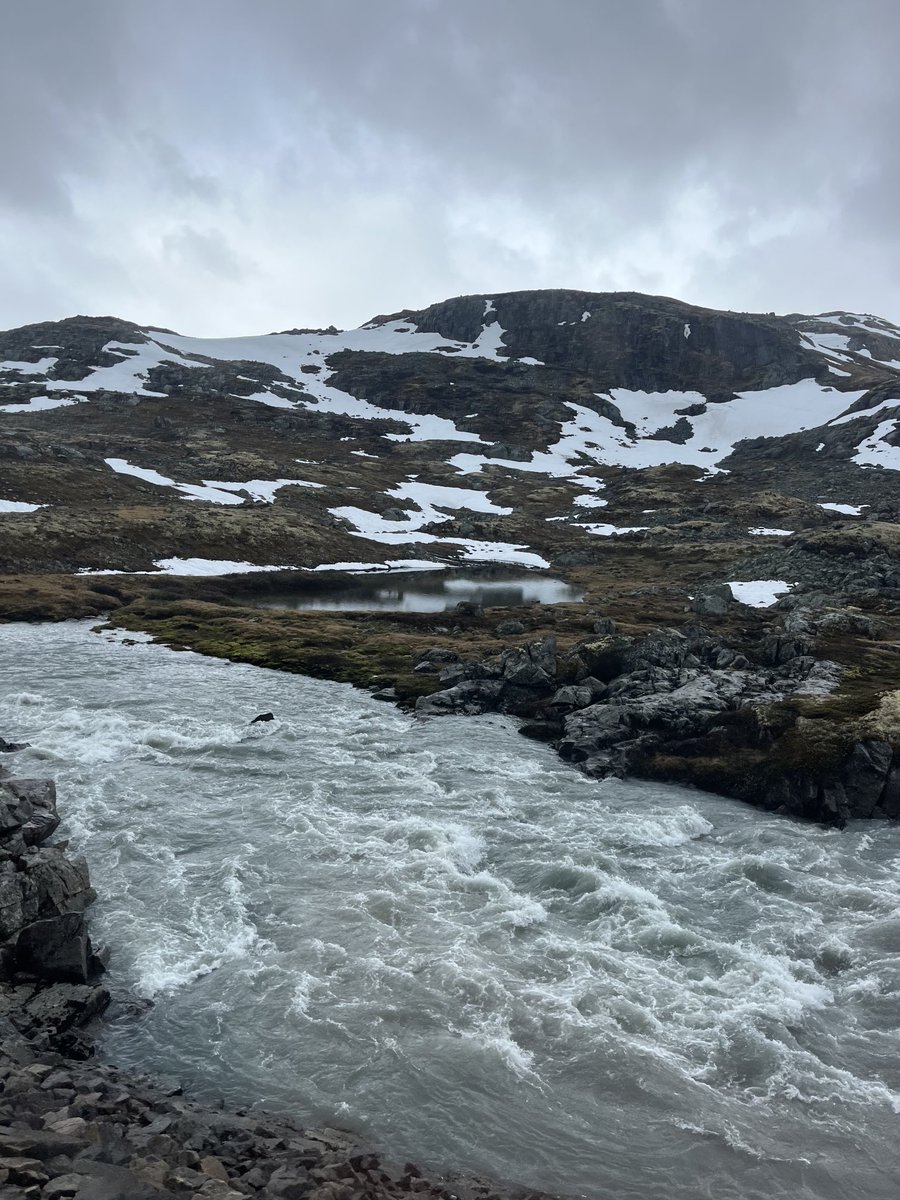 Norway Today